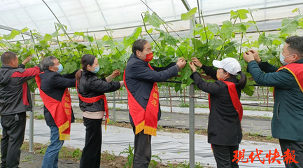 鹽城勞模愛(ài)心團(tuán)隊(duì) 科技助農(nóng)，護(hù)航春耕防疫“兩不誤”